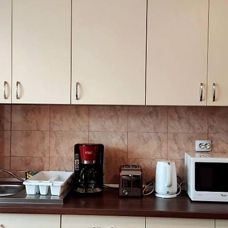 Spacious Flat, With Free Parking & Air Conditioning Floreşti 外观 照片