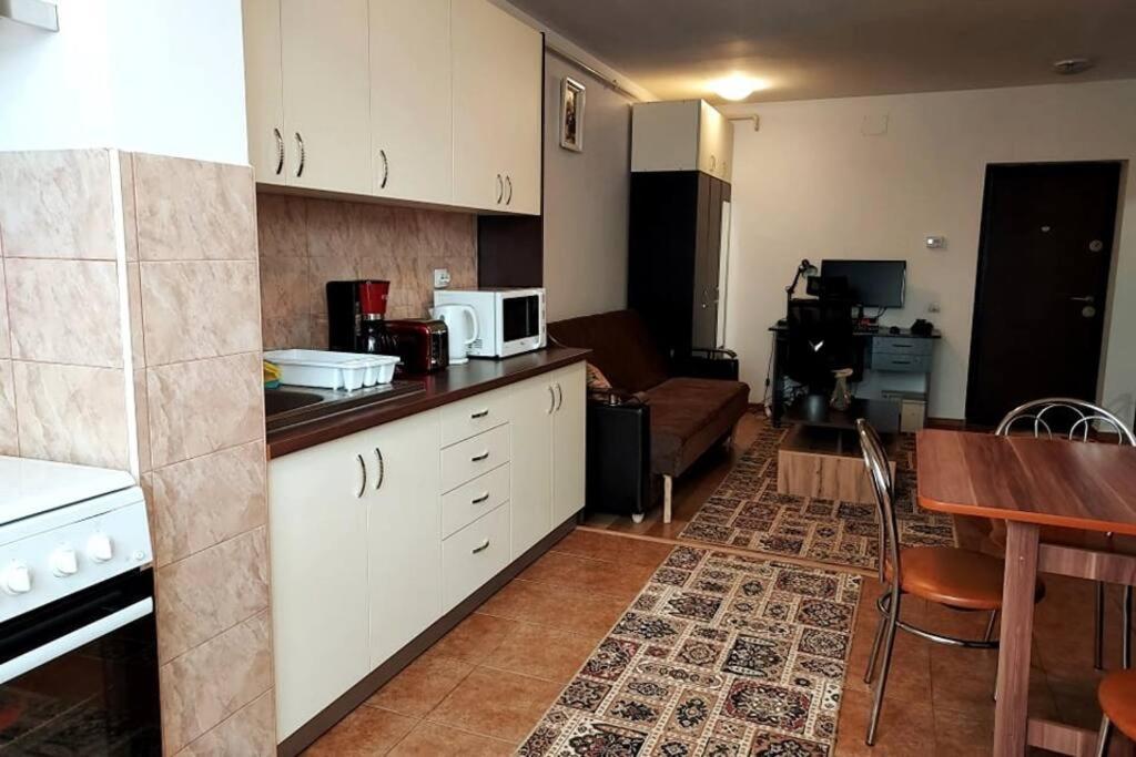 Spacious Flat, With Free Parking & Air Conditioning Floreşti 外观 照片