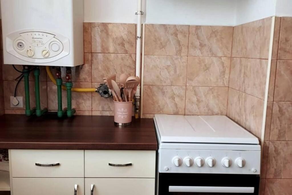 Spacious Flat, With Free Parking & Air Conditioning Floreşti 外观 照片