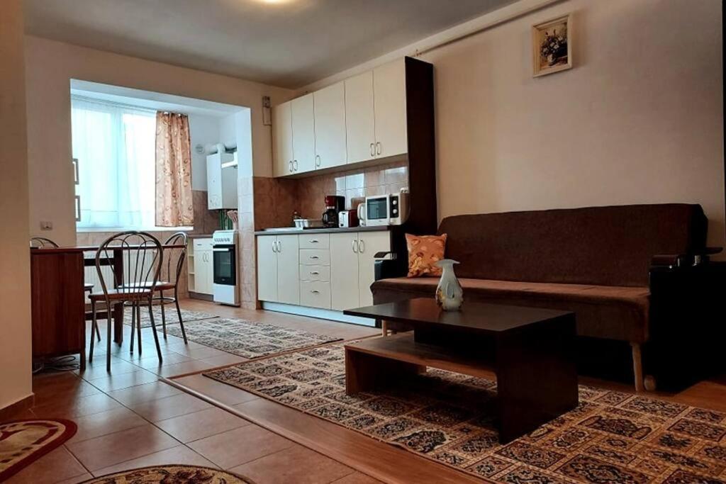 Spacious Flat, With Free Parking & Air Conditioning Floreşti 外观 照片