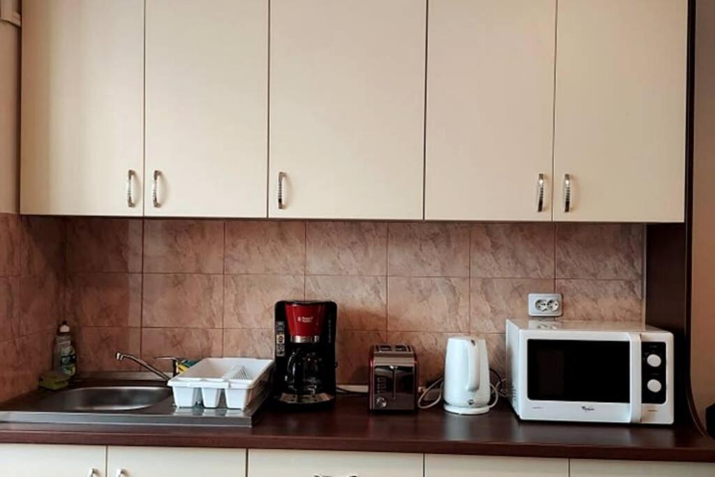 Spacious Flat, With Free Parking & Air Conditioning Floreşti 外观 照片